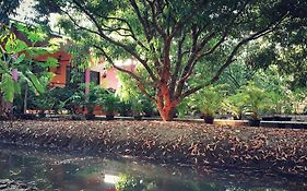 วรากรบ้านสวน อัมพวา